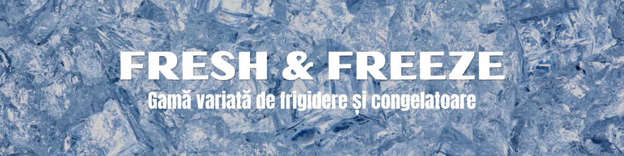 Tot ce ai nevoie pentru răcire profesională - De la vitrine bar până la mașini de gheață